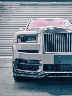 2018 - 2019 Cullinan Body Kit DW Stil Vorderlip Diffuser Spoiler Widebody Kit